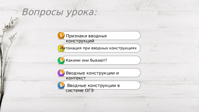 Вопросы урока: 1 Признаки вводных конструкций Интонация при вводных конструкциях 2 Какими они бывают? 3 3 Вводные конструкции и контекст 4 4  Вводные конструкции в системе ОГЭ 5 