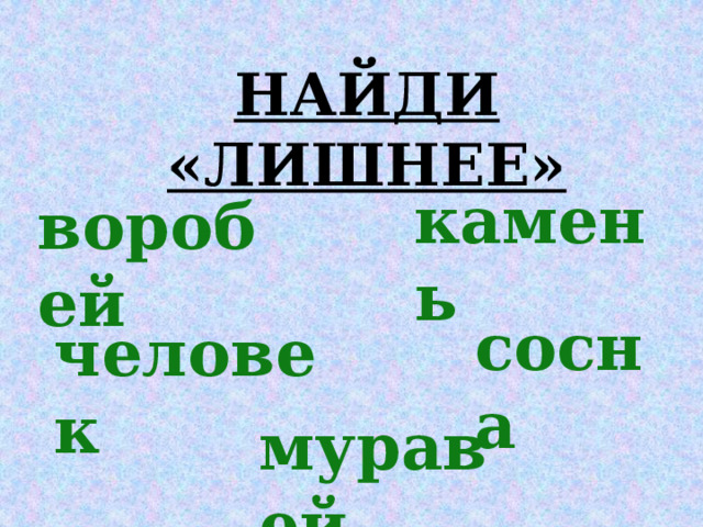 НАЙДИ «ЛИШНЕЕ» камень воробей сосна человек муравей 