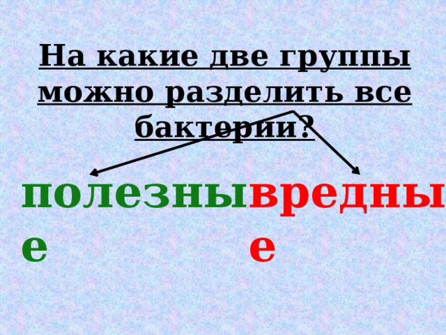 На какие две группы можно разделить все бактерии? полезные вредные 