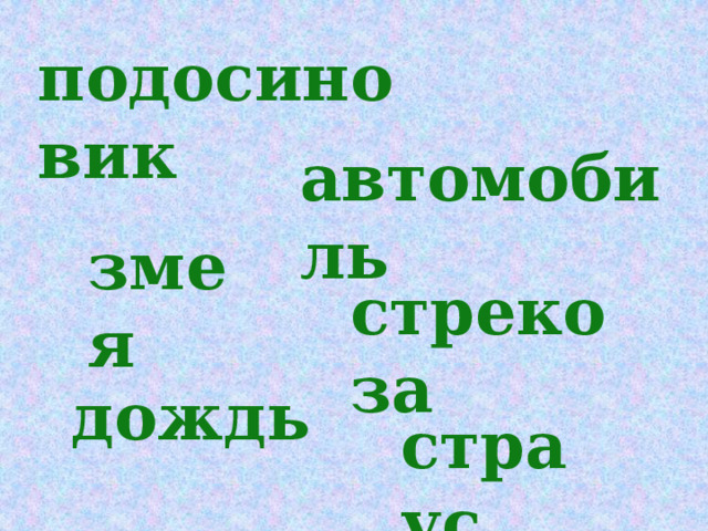 подосиновик автомобиль змея стрекоза дождь страус 