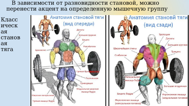  В зависимости от разновидности становой, можно перенести акцент на определенную мышечную группу Классическая становая тяга 