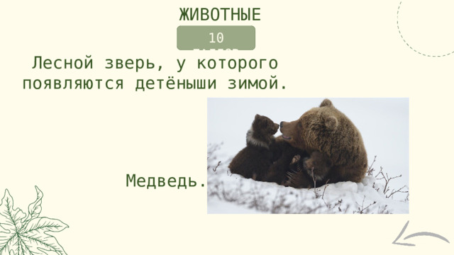 ЖИВОТНЫЕ 10 БАЛЛОВ Лесной зверь, у которого появляются детёныши зимой. Медведь.   