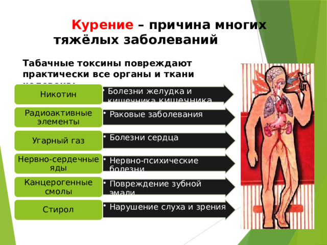  Курение – причина многих тяжёлых заболеваний  Табачные токсины повреждают практически все органы и ткани человека: Болезни желудка и кишечника кишечника Болезни желудка и кишечника кишечника Никотин Раковые заболевания Раковые заболевания Радиоактивные элементы Угарный газ Болезни сердца Болезни сердца Нервно-психические болезни Нервно-психические болезни Нервно-сердечные яды Канцерогенные смолы Повреждение зубной эмали Повреждение зубной эмали Нарушение слуха и зрения Нарушение слуха и зрения Стирол 