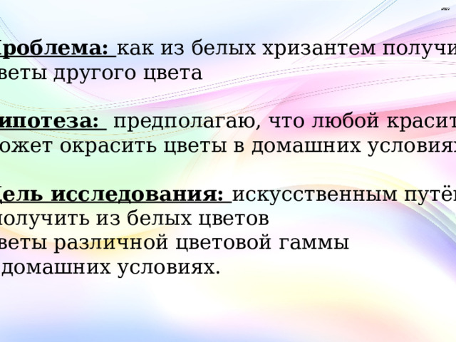 Проблема: как из белых хризантем получить цветы другого цвета  Гипотеза: предполагаю, что любой краситель может окрасить цветы в домашних условиях  Цель исследования: искусственным путём  получить из белых цветов цветы различной цветовой гаммы в домашних условиях. 