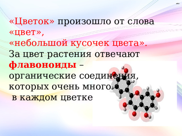 «Цветок» произошло от слова «цвет», «небольшой кусочек цвета». За цвет растения отвечают флавоноиды – органические соединения, которых очень много  в каждом цветке 