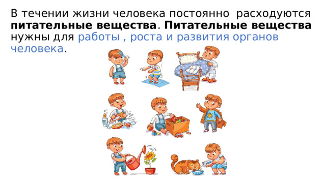 В течении жизни человека постоянно расходуются питательные вещества . Питательные вещества нужны для работы , роста и развития органов человека . 