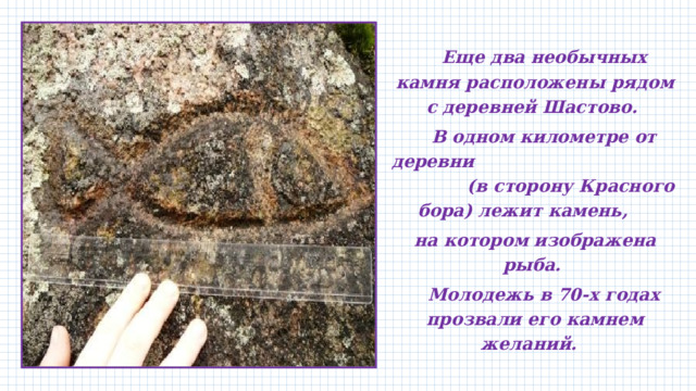  Еще два необычных камня расположены рядом с деревней Шастово.  В одном километре от деревни (в сторону Красного бора) лежит камень, на котором изображена рыба.  Молодежь в 70-х годах прозвали его камнем желаний. 