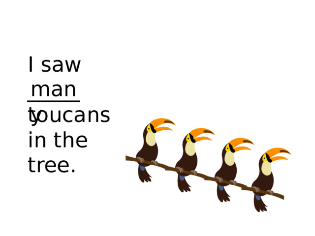 I saw _____ toucans in the tree. many 