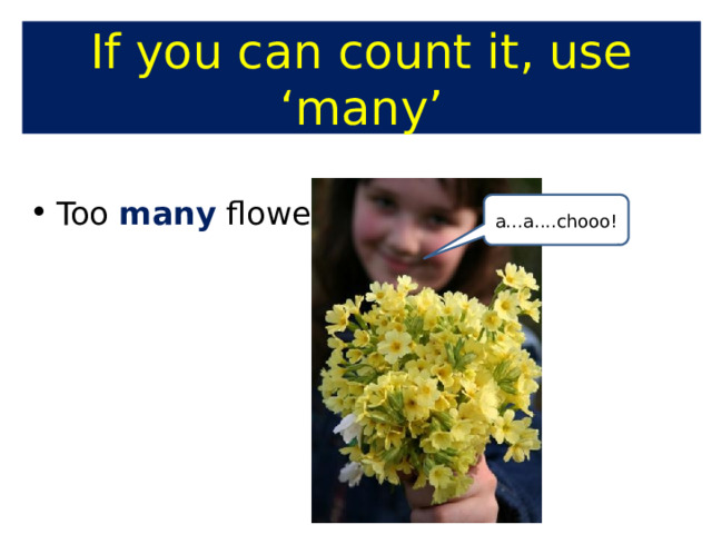 If you can count it, use ‘many’ Too many flowers a...a....chooo! 