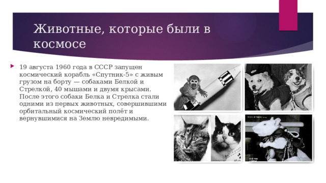 Животные, которые были в космосе 19 августа 1960 года в СССР запущен космический корабль «Спутник-5» с живым грузом на борту — собаками Белкой и Стрелкой, 40 мышами и двумя крысами. После этого собаки Белка и Стрелка стали одними из первых животных, совершившими орбитальный космический полёт и вернувшимися на Землю невредимыми. 