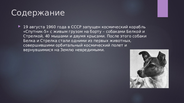 Содержание 19 августа 1960 года в СССР запущен космический корабль «Спутник-5» с живым грузом на борту – собаками Белкой и Стрелкой, 40 мышами и двумя крысами. После этого собаки Белка и Стрелка стали одними из первых животных, совершившими орбитальный космический полет и вернувшимися на Землю невредимыми. 