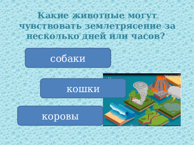 Какие животные могут чувствовать землетрясение за несколько дней или часов? собаки кошки коровы 