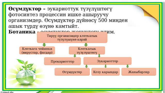 Өсүмдүктөр – эукариоттук түзүлүштөгү фотосинтез процессин ишке ашыруучу организмдер. Өсүмдүктөр дүйнөсү 500 миңден ашык түрдү өзүнө камтыйт. Ботаника - өсүмдүктөр жөнүндөгү илим. Тирүү организмдер клеткалык түзүлүшүнө карай Клеткалык түзүлүштөгү Клеткага чейинки (вирустар, фагдар) Эукариоттор Прокариоттор Өсүмдүктөр Жаныбарлар Козу карындар 