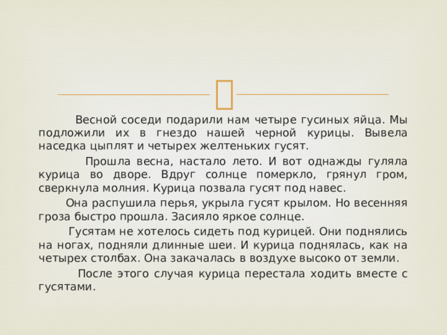  Весной соседи подарили нам четыре гусиных яйца. Мы подложили их в гнездо нашей черной курицы. Вывела наседка цыплят и четырех желтеньких гусят.  Прошла весна, настало лето. И вот однажды гуляла курица во дворе. Вдруг солнце померкло, грянул гром, сверкнула молния. Курица позвала гусят под навес.  Она распушила перья, укрыла гусят крылом. Но весенняя гроза быстро прошла. Засияло яркое солнце.  Гусятам не хотелось сидеть под курицей. Они поднялись на ногах, подняли длинные шеи. И курица поднялась, как на четырех столбах. Она закачалась в воздухе высоко от земли.  После этого случая курица перестала ходить вместе с гусятами. 