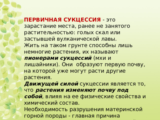 ПЕРВИЧНАЯ СУКЦЕССИЯ  - это зарастание места, ранее не занятого растительностью: голых скал или застывшей вулканической лавы.  Жить на таком грунте способны лишь немногие растения, их называют пионерами сукцессий (мхи и лишайники). Они образуют первую почву, на которой уже могут расти другие растения.  Движущей силой сукцессии является то, что растения изменяют почву под  собой , влияя на ее физические свойства и химический состав.  Необходимость разрушения материнской горной породы - главная причина медленного хода первичных сукцессий. 