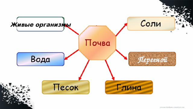 Живые организмы 