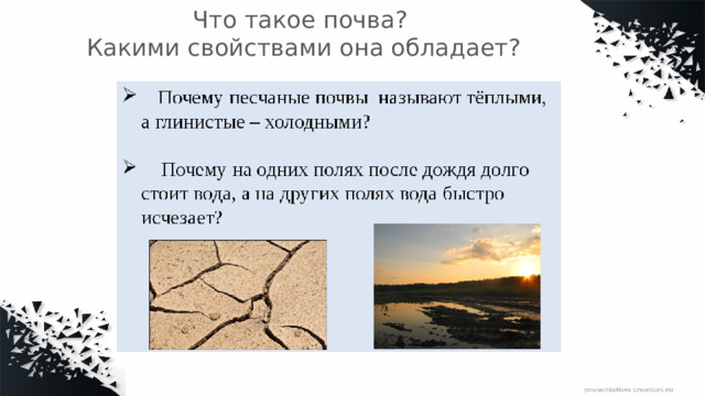 Что такое почва?  Какими свойствами она обладает?   