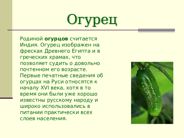 Родиной огурцов считается Индия. Огурец изображен на фресках Древнего Египта и в греческих храмах, что позволяет судить о довольно почтенном его возрасте. Первые печатные сведения об огурцах на Руси относятся к началу XVI века, хотя в то время они были уже хорошо известны русскому народу и широко использовались в питании практически всех слоев населения. 