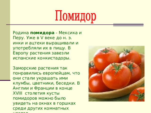 Родина помидора - Мексика и Перу. Уже в V веке до н. э. инки и ацтеки выращивали и употребляли их в пищу. В Европу растения завезли испанские конкистадоры. Заморские растения так понравились европейцам, что они стали украшать ими клумбы, цветники, беседки. В Англии и Франции в конце XVIII столетия кусты помидоров можно было увидеть на окнах в горшках среди других комнатных цветов. 