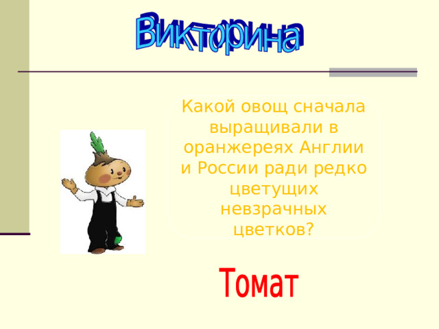 Какой овощ сначала выращивали в оранжереях Англии и России ради редко цветущих невзрачных цветков? 