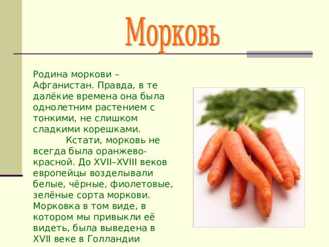 Родина моркови – Афганистан. Правда, в те далёкие времена она была однолетним растением с тонкими, не слишком сладкими корешками.  Кстати, морковь не всегда была оранжево-красной. До XVII–XVIII веков европейцы возделывали белые, чёрные, фиолетовые, зелёные сорта моркови. Морковка в том виде, в котором мы привыкли её видеть, была выведена в XVII веке в Голландии 