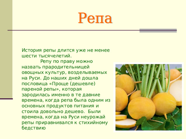 История репы длится уже не менее шести тысячелетий.   Репу по праву можно назвать прародительницей овощных культур, возделываемых на Руси. До наших дней дошла пословица «Проще (дешевле) пареной репы», которая зародилась именно в те давние времена, когда репа была одним из основных продуктов питания и стоила довольно дешево.  Были времена, когда на Руси неурожай репы приравнивался к стихийному бедствию 