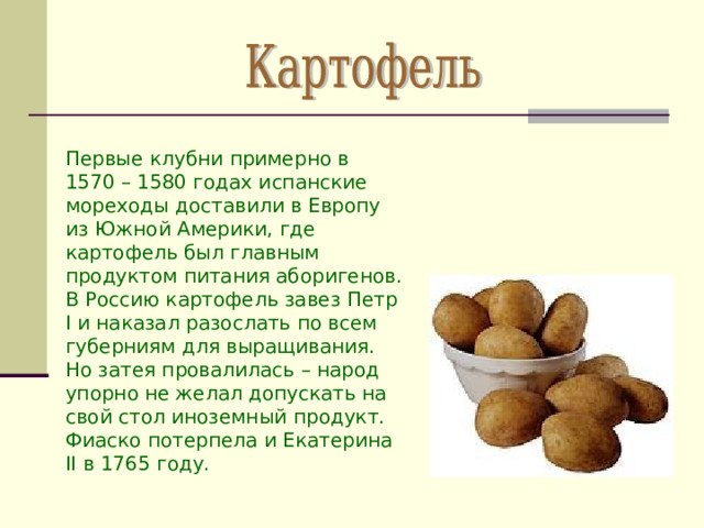 Первые клубни примерно в 1570 – 1580 годах испанские мореходы доставили в Европу из Южной Америки, где картофель был главным продуктом питания аборигенов. В Россию картофель завез Петр I и наказал разослать по всем губерниям для выращивания. Но затея провалилась – народ упорно не  желал допускать на свой стол иноземный продукт. Фиаско потерпела и Екатерина II в 1765 году. 