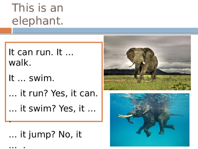 This is an elephant. It can run. It … walk. It … swim. … it run? Yes, it can. … it swim? Yes, it … . … it jump? No, it … . 