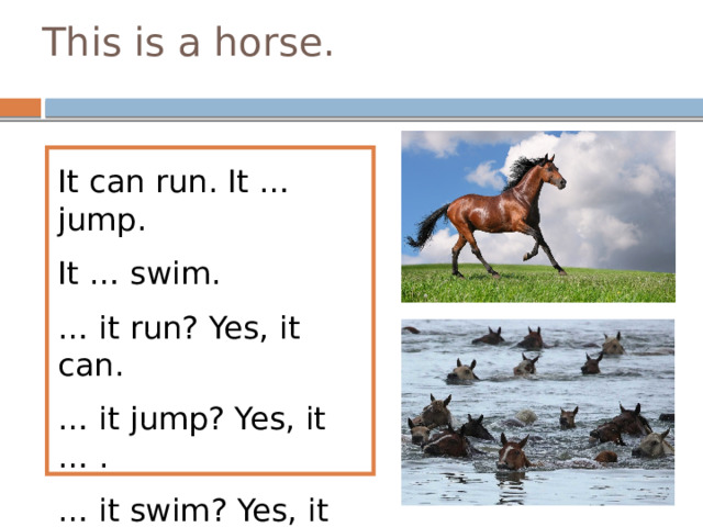 This is a horse. It can run. It … jump. It … swim. … it run? Yes, it can. … it jump? Yes, it … . … it swim? Yes, it … . … it fly? No, it … . 