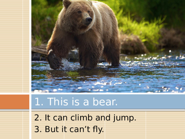 1. This is a bear. 2. It can climb and jump. 3. But it can’t fly. 