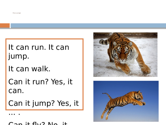     This is a tiger.      It can run. It can jump. It can walk. Can it run? Yes, it can. Can it jump? Yes, it … . Can it fly? No, it … . 