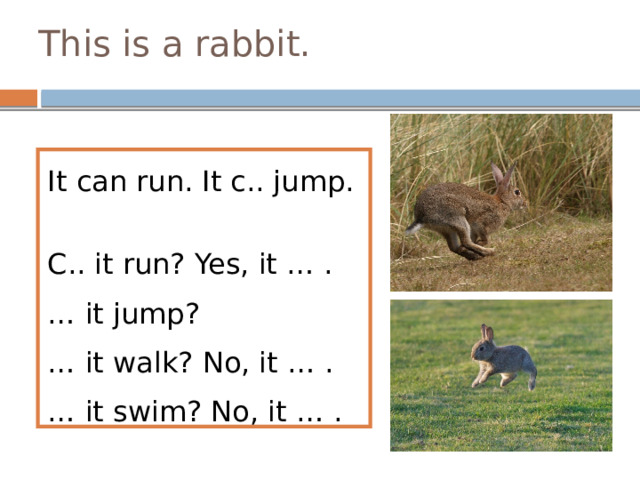 This is a rabbit. It can run. It c.. jump. C.. it run? Yes, it … . … it jump? Yes, it … . … it walk? No, it … . … it swim? No, it … . 
