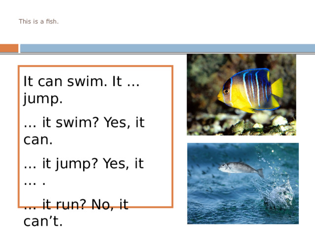  This is a fish.   It can swim. It … jump. … it swim? Yes, it can. … it jump? Yes, it … . … it run? No, it can’t. … it walk? No, it … . 