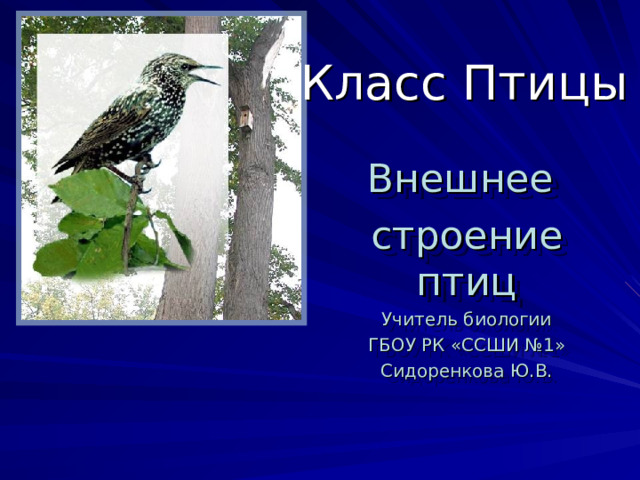 Класс Птицы  Внешнее строение птиц Учитель биологии ГБОУ РК «ССШИ №1» Сидоренкова Ю.В. 