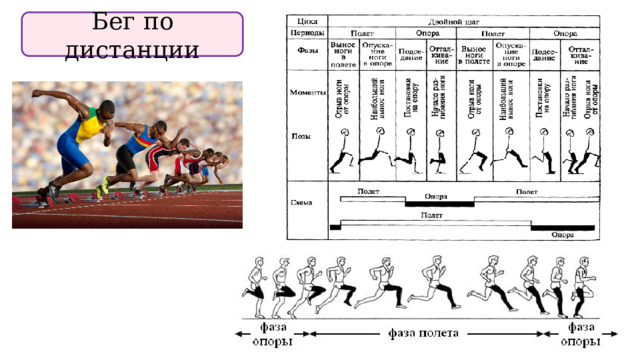 Бег по дистанции 