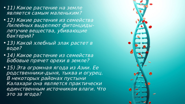 В стране биологических вопросов