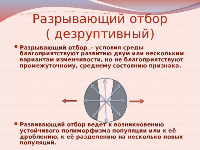 Разрывающий отбор  ( дезруптивный) Разрывающий отбор - условия среды благоприятствуют развитию двум или нескольким вариантам изменчивости, но не благоприятствуют промежуточному, среднему состоянию признака.        Развивающий отбор ведет к возникновению устойчивого полиморфизма популяции или к её дроблению, к её разделению на несколько новых популяций.  