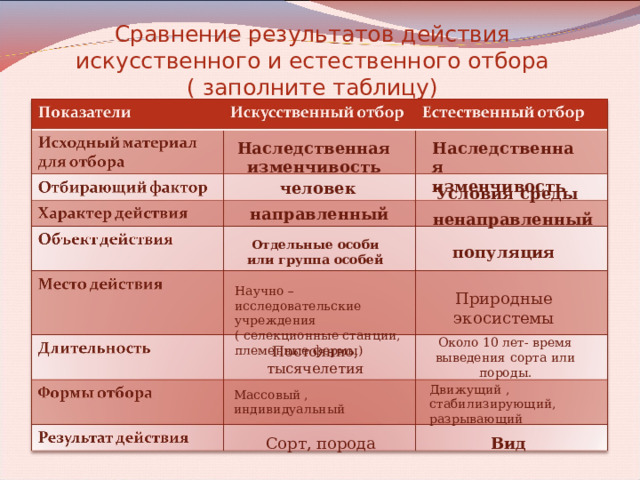 Сравнение результатов действия искусственного и естественного отбора  ( заполните таблицу) Наследственная изменчивость Наследственная изменчивость человек Условия среды направленный ненаправленный Отдельные особи или группа особей популяция Научно – исследовательские учреждения ( селекционные станции, племенные фермы) Природные экосистемы Около 10 лет- время выведения сорта или породы. Постоянно, тысячелетия Движущий , стабилизирующий, разрывающий Массовый , индивидуальный Сорт, порода Вид  