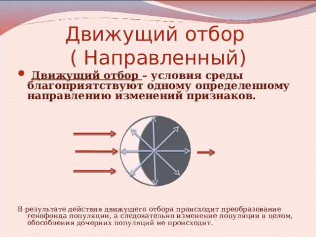 Движущий отбор  ( Направленный)  Движущий отбор – условия среды благоприятствуют одному определенному направлению изменений признаков. В результате действия движущего отбора происходит преобразование генофонда популяции, а следовательно изменение популяции в целом, обособления дочерних популяций не происходит. 