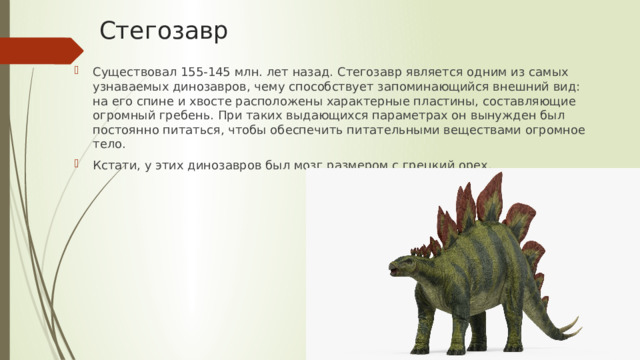 Стегозавр Существовал 155-145 млн. лет назад. Стегозавр является одним из самых узнаваемых динозавров, чему способствует запоминающийся внешний вид: на его спине и хвосте расположены характерные пластины, составляющие огромный гребень. При таких выдающихся параметрах он вынужден был постоянно питаться, чтобы обеспечить питательными веществами огромное тело. Кстати, у этих динозавров был мозг размером с грецкий орех. 