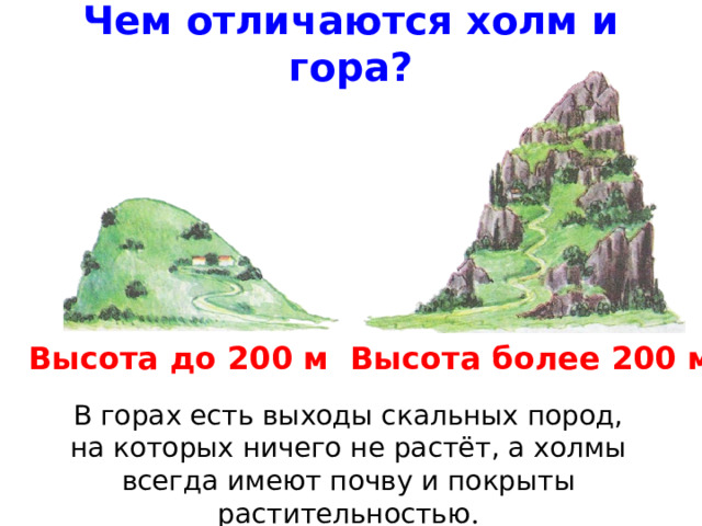 Чем отличаются холм и гора? Высота до 200 м Высота более 200 м  В горах есть выходы скальных пород, на которых ничего не растёт, а холмы всегда имеют почву и покрыты растительностью . 