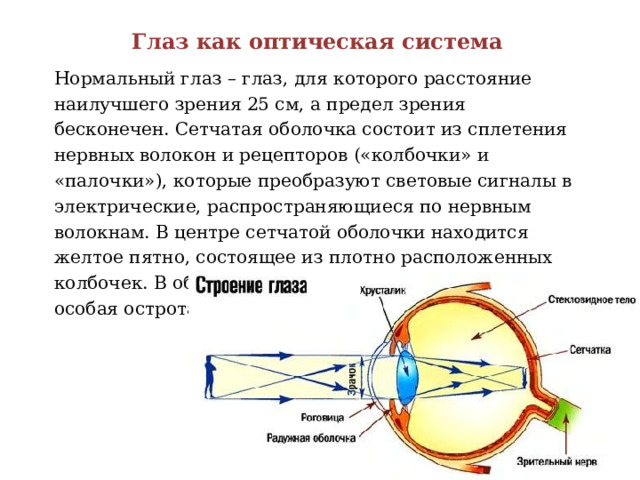 Глаз как оптическая система Нормальный глаз – глаз, для которого расстояние наилучшего зрения 25 см, а предел зрения бесконечен. Сетчатая оболочка состоит из сплетения нервных волокон и рецепторов («колбочки» и «палочки»), которые преобразуют световые сигналы в электрические, распространяющиеся по нервным волокнам. В центре сетчатой оболочки находится желтое пятно, состоящее из плотно расположенных колбочек. В области желтого пятна достигается особая острота зрения. 