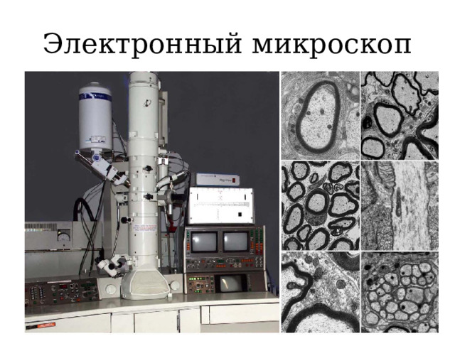 Электронный микроскоп 