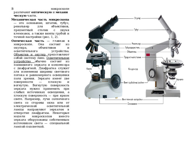 В микроскопе различают  оптическую  и  механическую  части.   Механическая часть микроскопа — это основание, штатив, тубус, револьвер для объективов, предметный столик с двумя клеммами, а также винты грубой и точной настройки (рис. 1, 2).  Оптическая часть — главная в микроскопе. Она состоит из окуляра, объективов и осветительного устройства. Объектив и окуляр представляют собой систему линз. Осветительное устройство обычно состоит из подвижного зеркала и конденсора с диафрагмой. Диафрагма служит для изменения ширины светового потока и равномерного освещения поля зрения. Зеркало имеет две поверхности — плоскую и вогнутую. Вогнутую поверхность зеркала нужно применять при слабых источниках освещения, а плоскую поверхность — при ярком свете. Например, лучи солнечного света со стороны окна или от электрической осветительной лампы направляют зеркалом в отверстие диафрагмы. Некоторые модели микроскопов вместо зеркала оборудованы собственным источником света — специальной лампой-подсветкой. 
