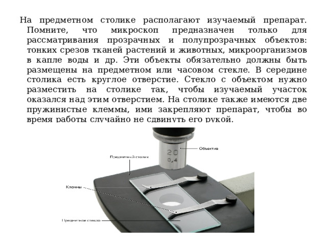 На предметном столике располагают изучаемый препарат. Помните, что микроскоп предназначен только для рассматривания прозрачных и полупрозрачных объектов: тонких срезов тканей растений и животных, микроорганизмов в капле воды и др. Эти объекты обязательно должны быть размещены на предметном или часовом стекле. В середине столика есть круглое отверстие. Стекло с объектом нужно разместить на столике так, чтобы изучаемый участок оказался над этим отверстием. На столике также имеются две пружинистые клеммы, ими закрепляют препарат, чтобы во время работы случайно не сдвинуть его рукой. 