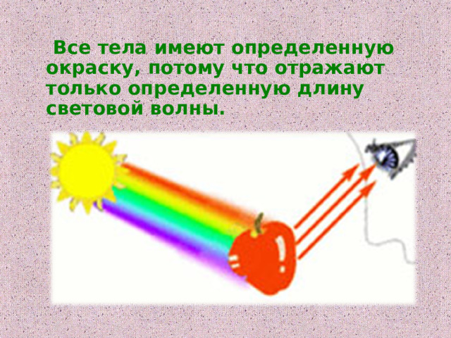  Все тела имеют определенную окраску, потому что отражают только определенную длину световой волны. 