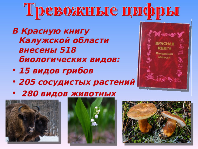 В Красную книгу Калужской области внесены 518 биологических видов: 15 видов грибов 205 сосудистых растений  280 видов животных 