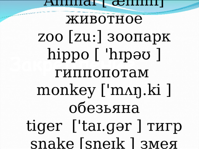 Animal ['ænɪml] животное zoo [zu : ] зоопарк hippo [ 'hɪpəʊ ] гиппопотам monkey ['mʌŋ.ki ] обезьяна tiger  ['taɪ.ɡər ] тигр snake [sneɪk ] змея 