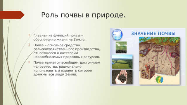 Роль почвы в природе.   Главная из функций почвы – обеспечение жизни на Земле. Почва – основное средство сельскохозяйственного производства, относящееся к категории невозобновимых природных ресурсов. Почва является всеобщим достоянием человечества, рационально использовать и охранять которое должны все люди Земли. 