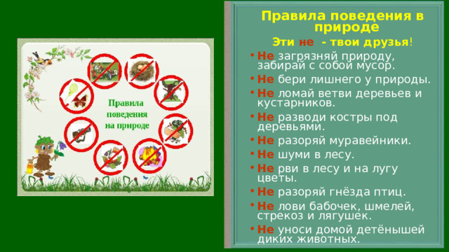 Правила поведения в природе Эти не - твои друзья ! Не  загрязняй природу, забирай с собой мусор. Не  бери лишнего у природы. Не  ломай ветви деревьев и кустарников. Не  разводи костры под деревьями. Не  разоряй муравейники. Не  шуми в лесу. Не  рви в лесу и на лугу цветы. Не  разоряй гнёзда птиц. Не  лови бабочек, шмелей, стрекоз и лягушек. Не  уноси домой детёнышей диких животных. 